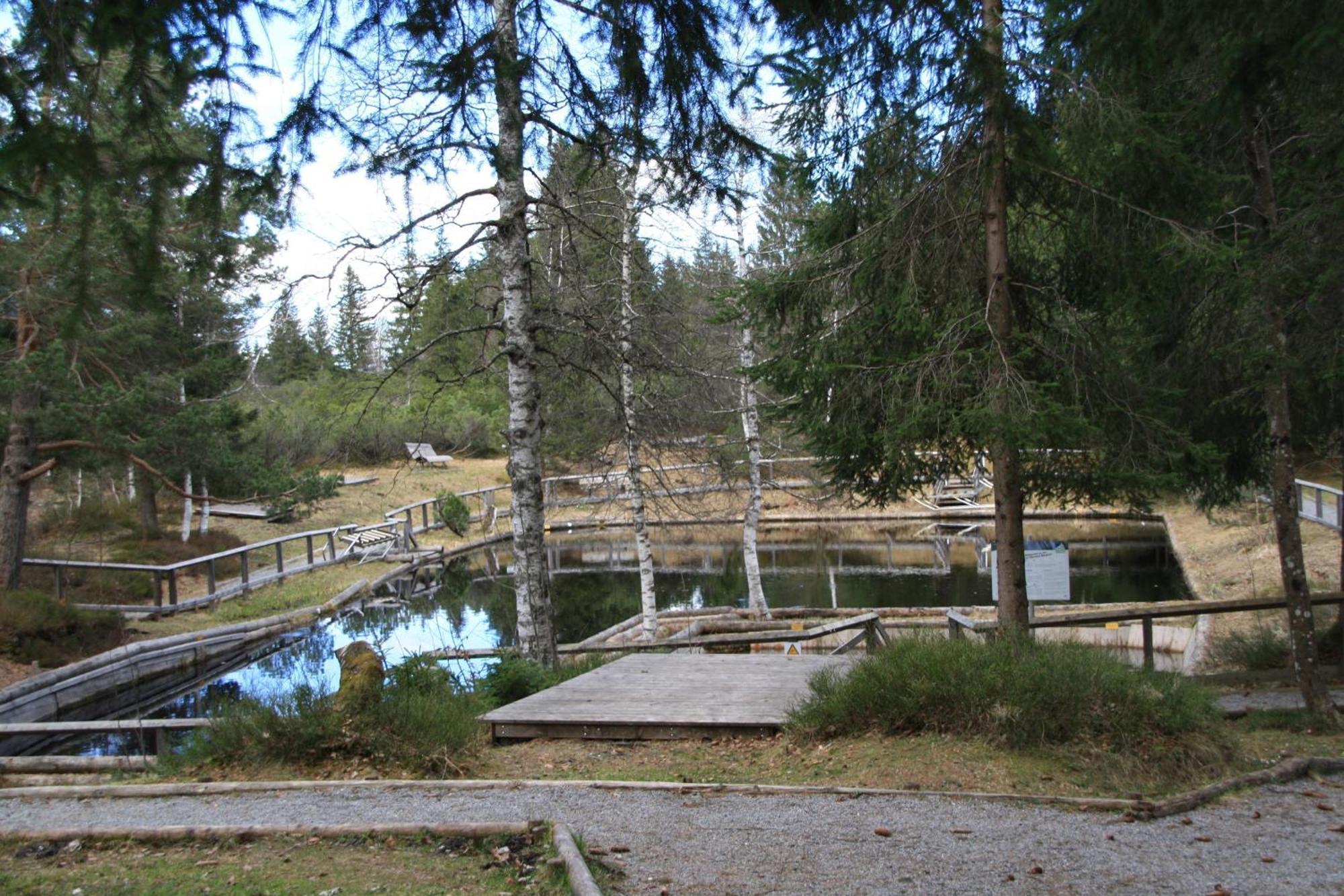 Ferienwohnung Bachmann Oberjoch Extérieur photo